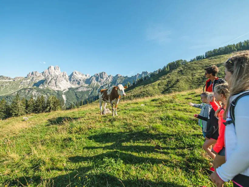 Radfahren - Sommerurlaub in Filzmoos, Salzburg