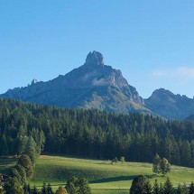 bischofsmuetze-(Kopie)