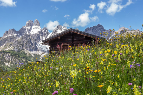 Ferienwohnung Bergblick in Filzmoos